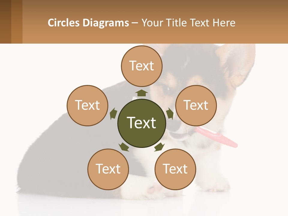 A Dog With A Toothbrush In Its Mouth PowerPoint Template