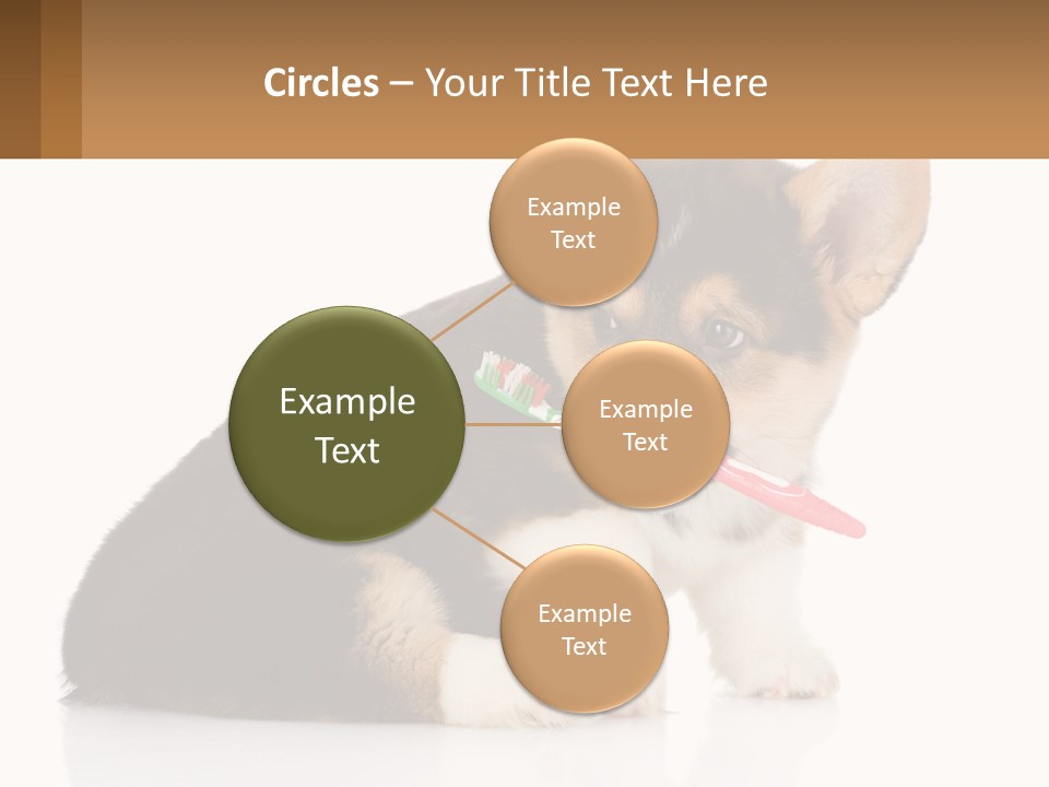 A Dog With A Toothbrush In Its Mouth PowerPoint Template
