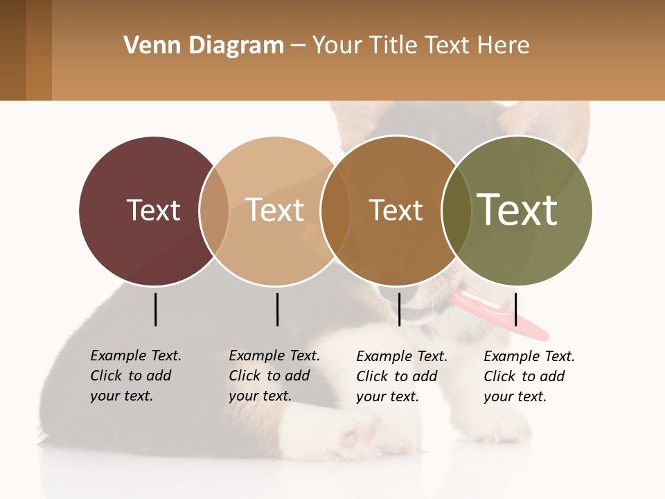 A Dog With A Toothbrush In Its Mouth PowerPoint Template