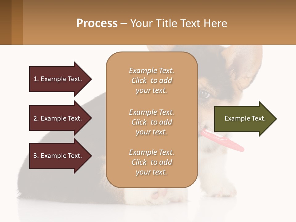 A Dog With A Toothbrush In Its Mouth PowerPoint Template