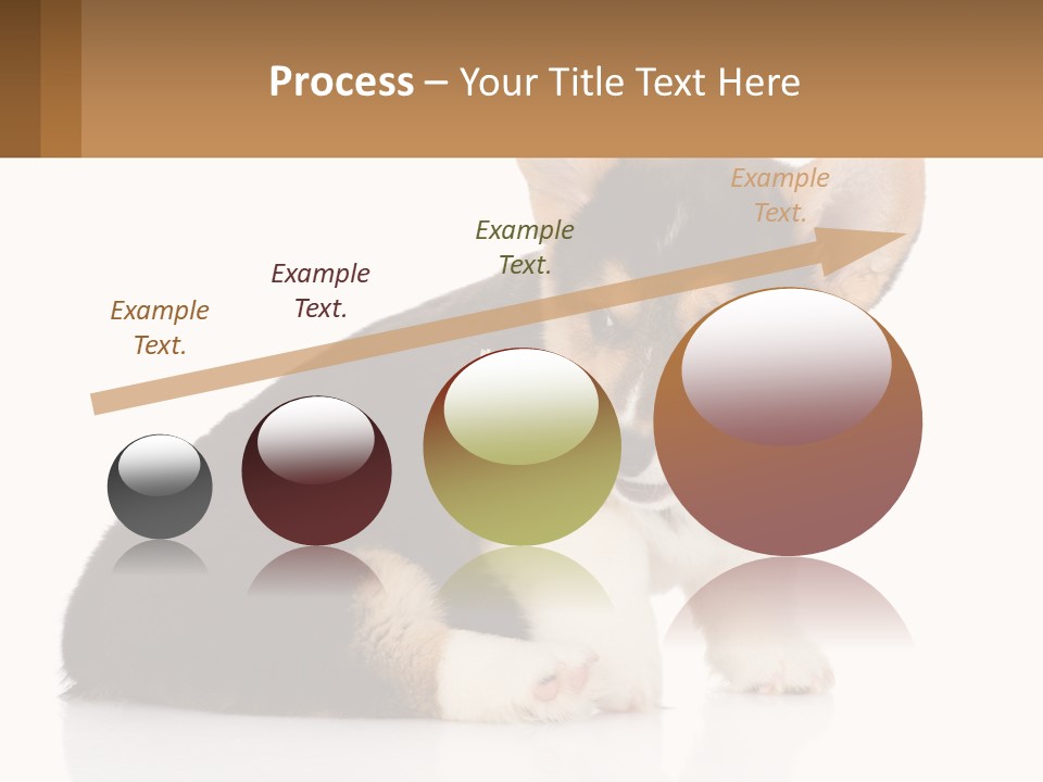 A Dog With A Toothbrush In Its Mouth PowerPoint Template