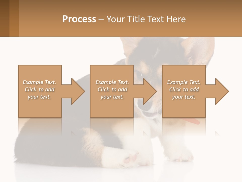A Dog With A Toothbrush In Its Mouth PowerPoint Template