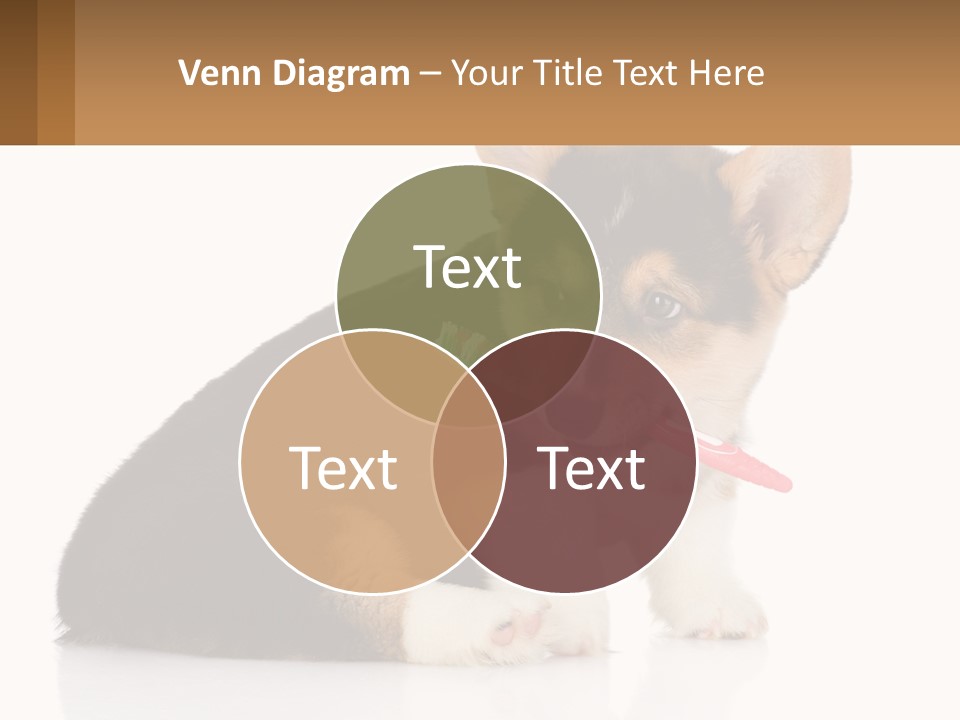 A Dog With A Toothbrush In Its Mouth PowerPoint Template