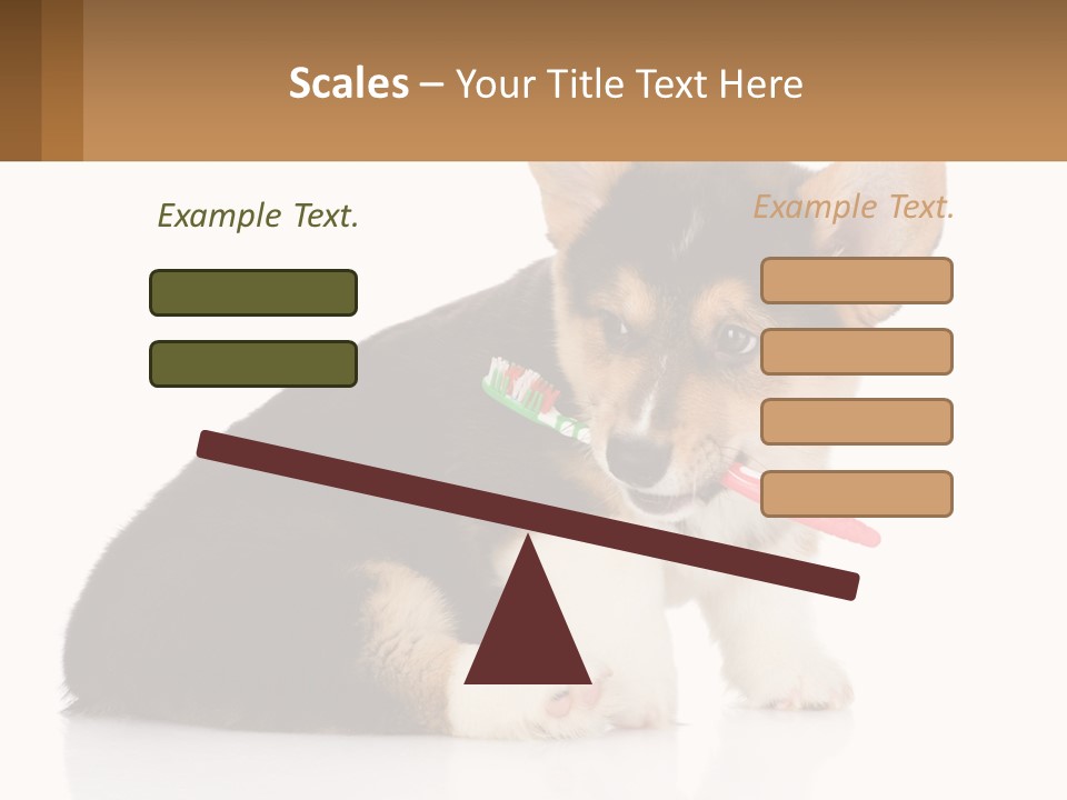 A Dog With A Toothbrush In Its Mouth PowerPoint Template