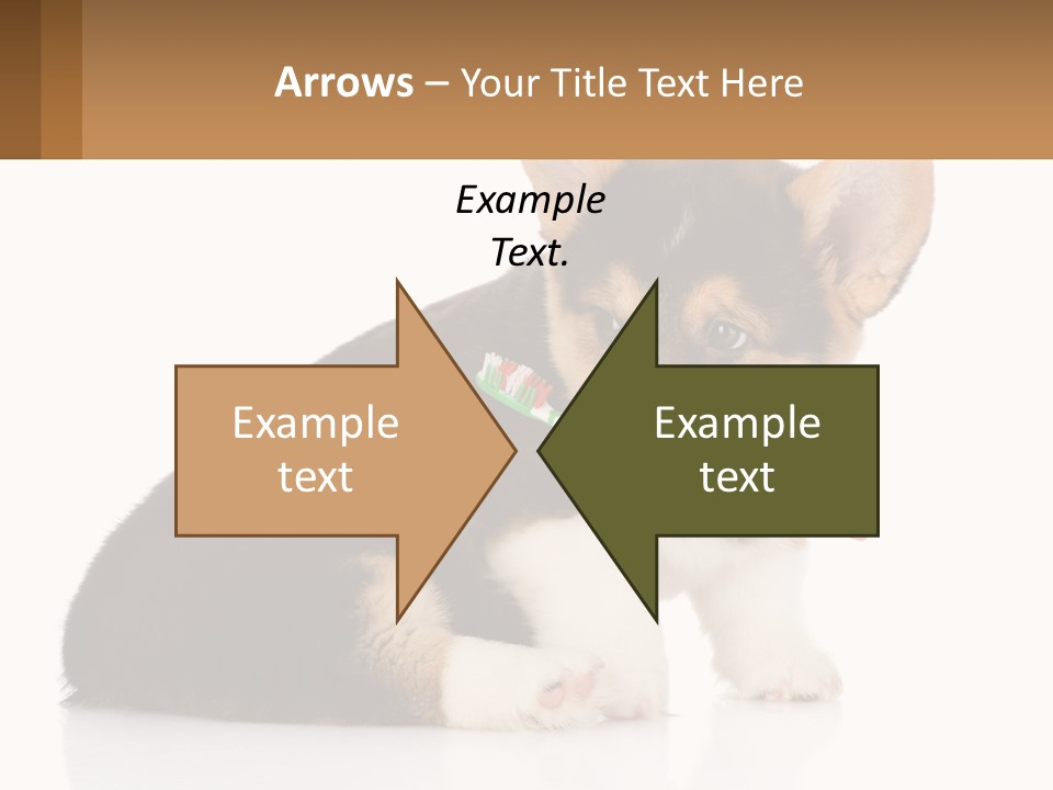 A Dog With A Toothbrush In Its Mouth PowerPoint Template