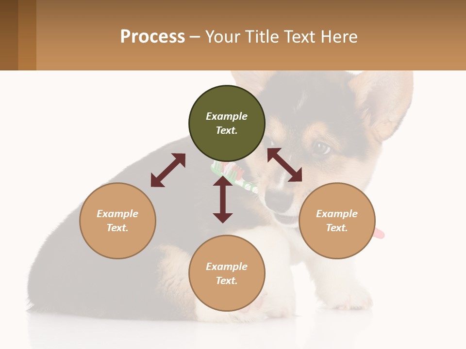 A Dog With A Toothbrush In Its Mouth PowerPoint Template