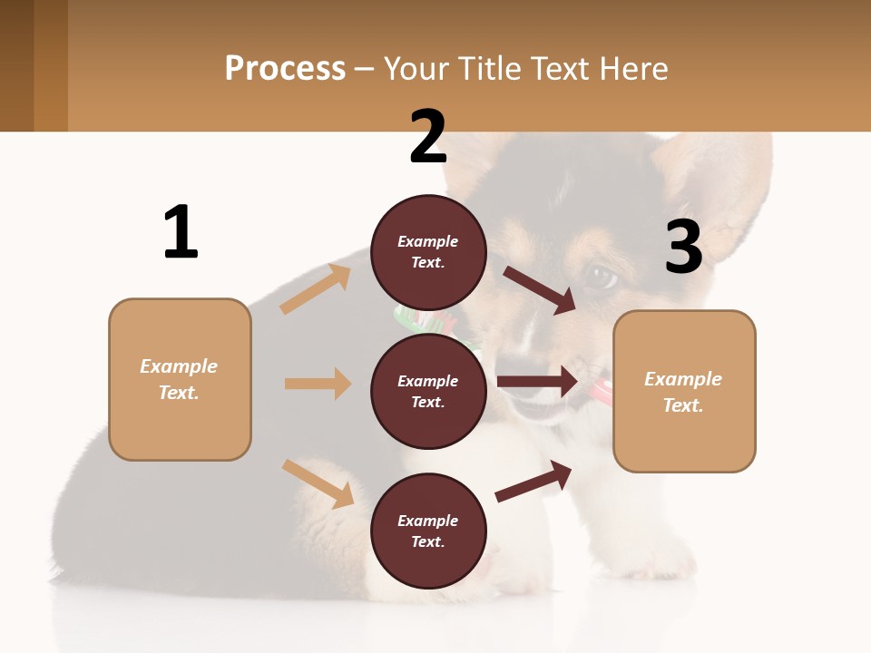 A Dog With A Toothbrush In Its Mouth PowerPoint Template