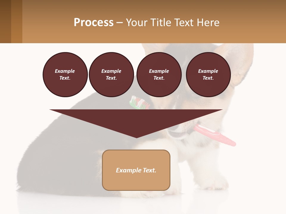 A Dog With A Toothbrush In Its Mouth PowerPoint Template