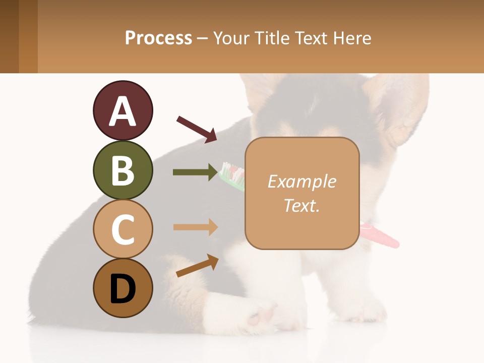 A Dog With A Toothbrush In Its Mouth PowerPoint Template