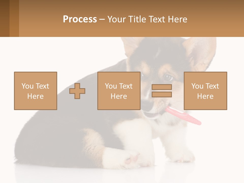 A Dog With A Toothbrush In Its Mouth PowerPoint Template