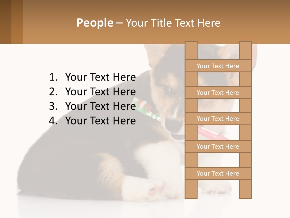 A Dog With A Toothbrush In Its Mouth PowerPoint Template