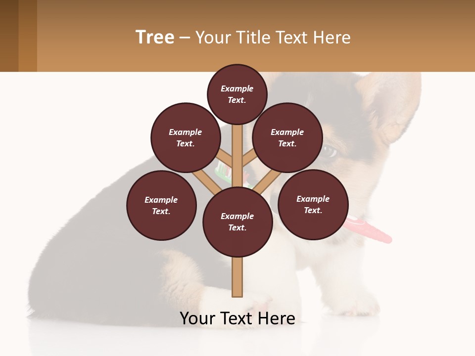 A Dog With A Toothbrush In Its Mouth PowerPoint Template