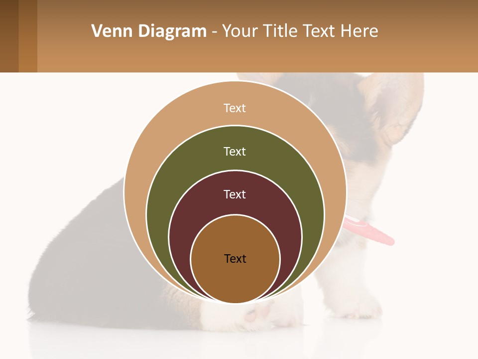 A Dog With A Toothbrush In Its Mouth PowerPoint Template