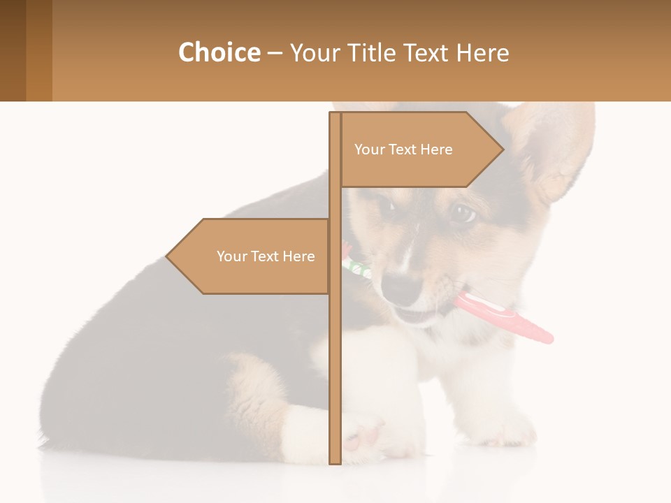 A Dog With A Toothbrush In Its Mouth PowerPoint Template