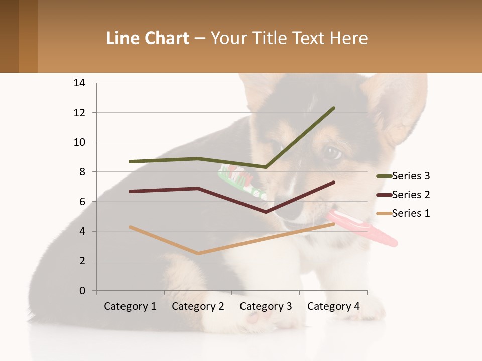 A Dog With A Toothbrush In Its Mouth PowerPoint Template