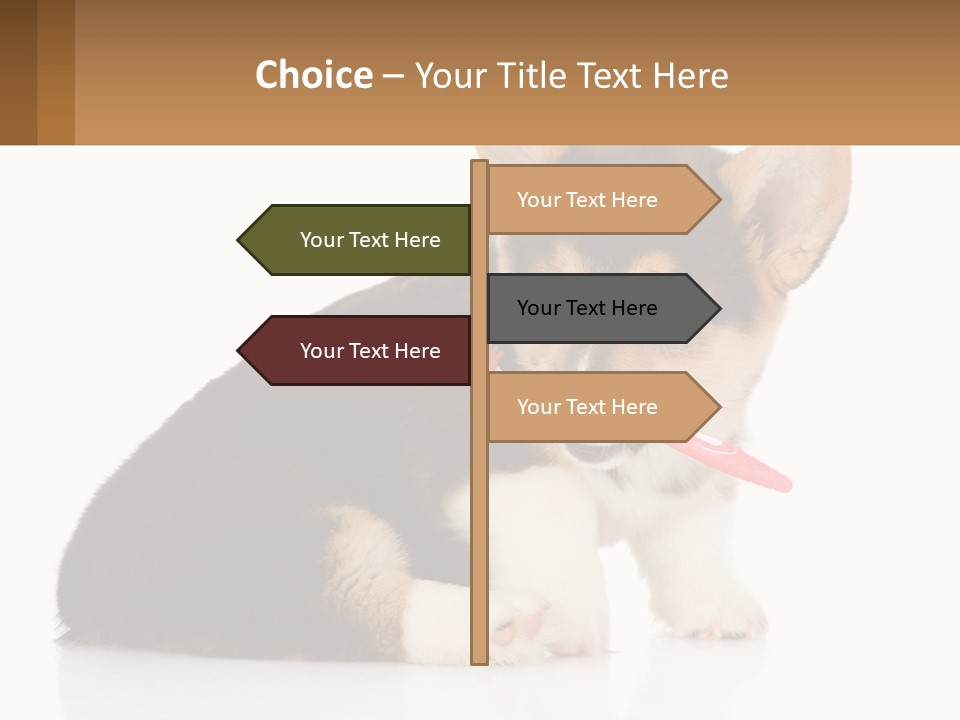 A Dog With A Toothbrush In Its Mouth PowerPoint Template