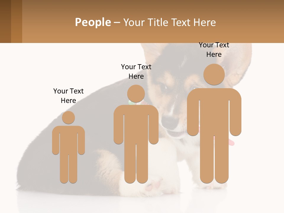 A Dog With A Toothbrush In Its Mouth PowerPoint Template