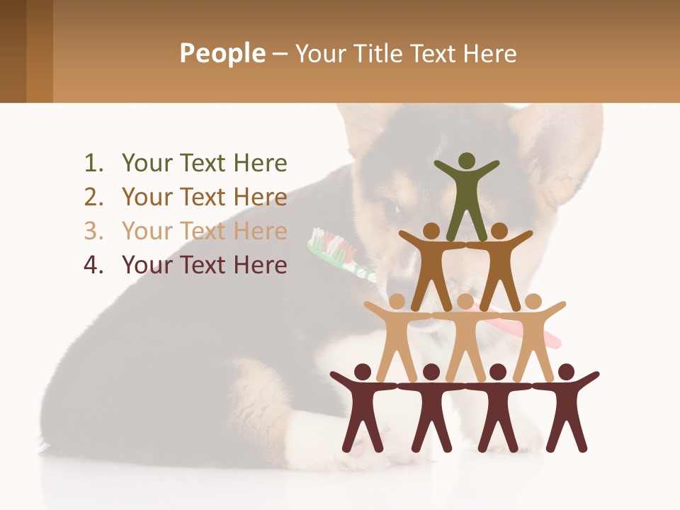 A Dog With A Toothbrush In Its Mouth PowerPoint Template