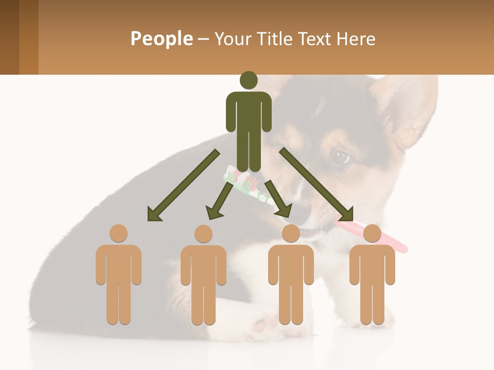 A Dog With A Toothbrush In Its Mouth PowerPoint Template