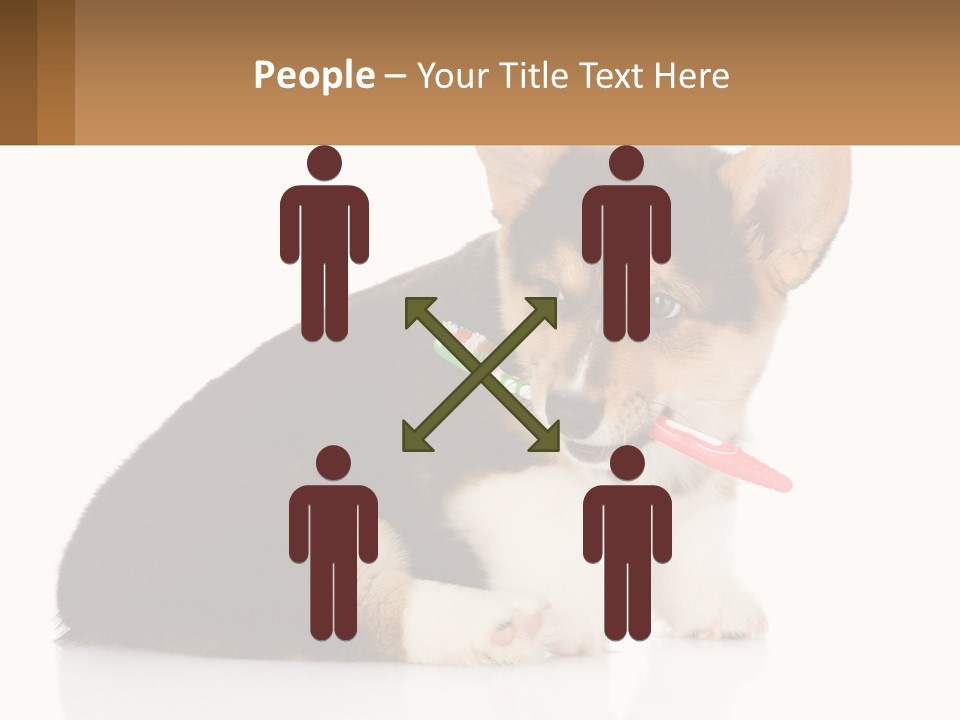 A Dog With A Toothbrush In Its Mouth PowerPoint Template