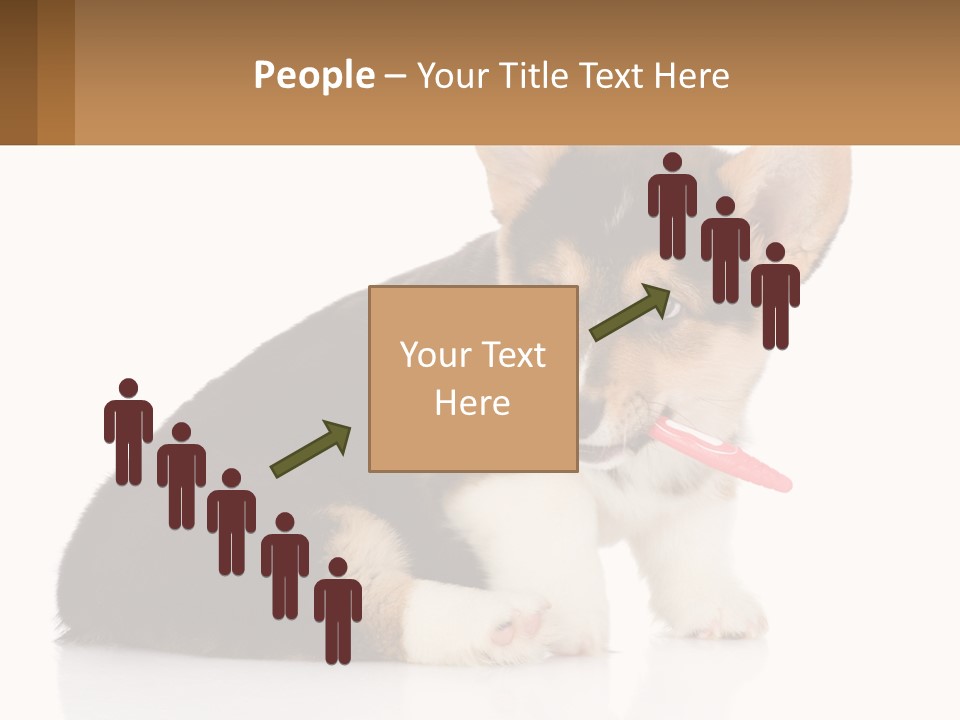 A Dog With A Toothbrush In Its Mouth PowerPoint Template