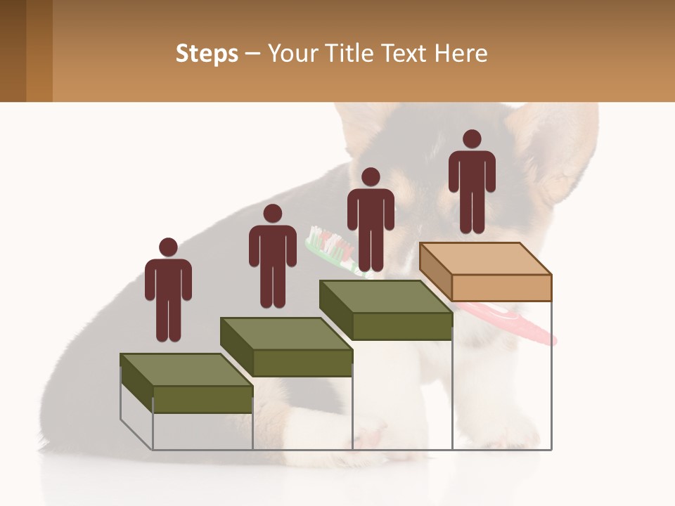 A Dog With A Toothbrush In Its Mouth PowerPoint Template