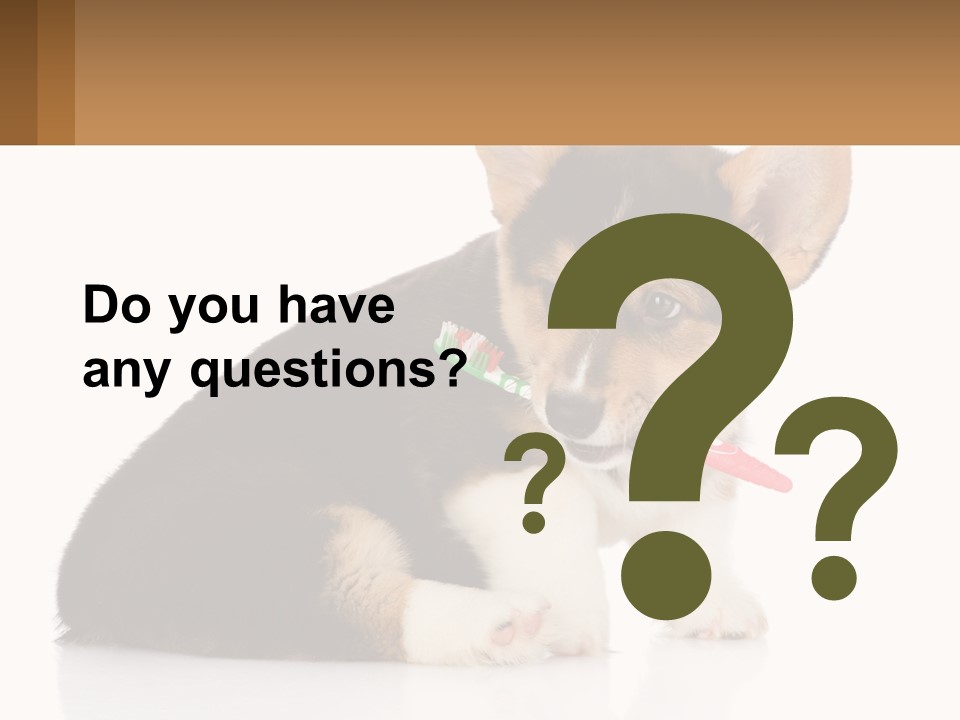 A Dog With A Toothbrush In Its Mouth PowerPoint Template