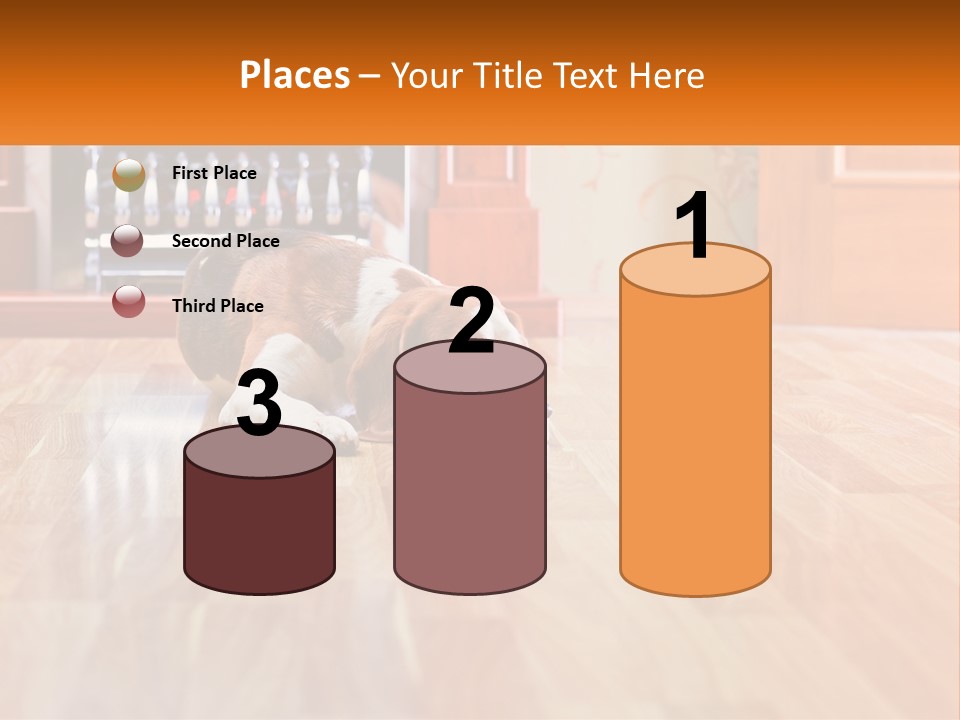 A Brown And White Dog Laying On Top Of A Hard Wood Floor PowerPoint Template
