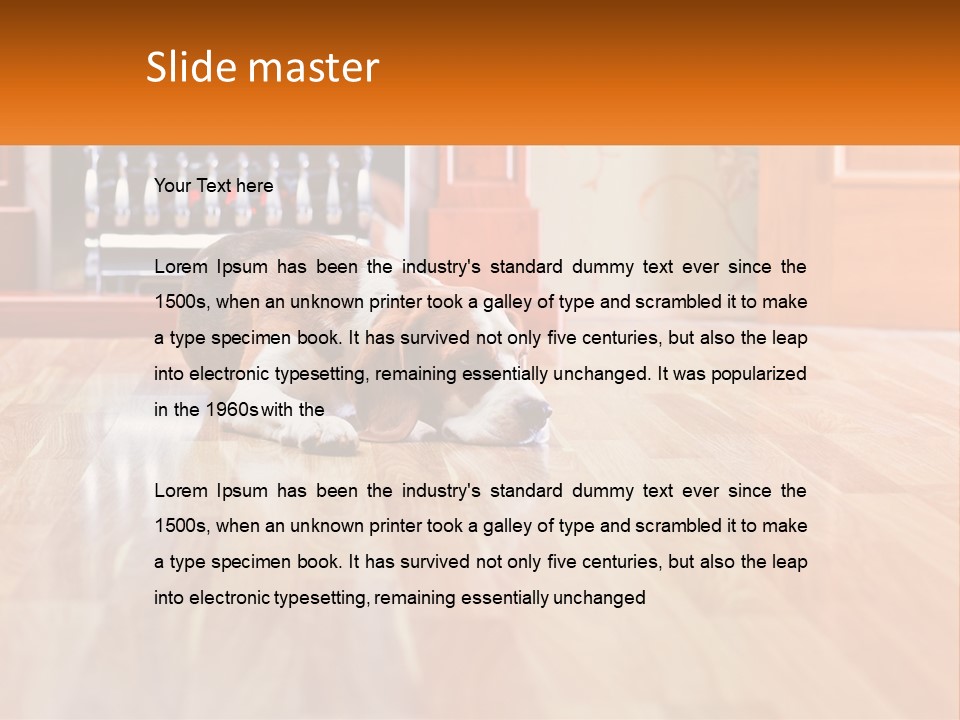 A Brown And White Dog Laying On Top Of A Hard Wood Floor PowerPoint Template
