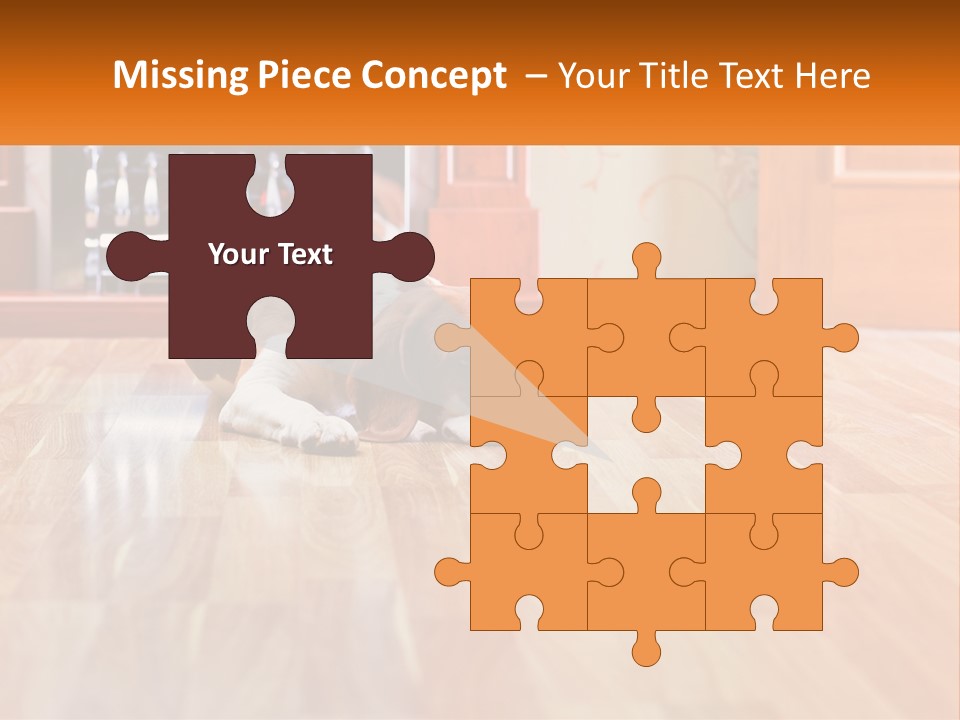 A Brown And White Dog Laying On Top Of A Hard Wood Floor PowerPoint Template