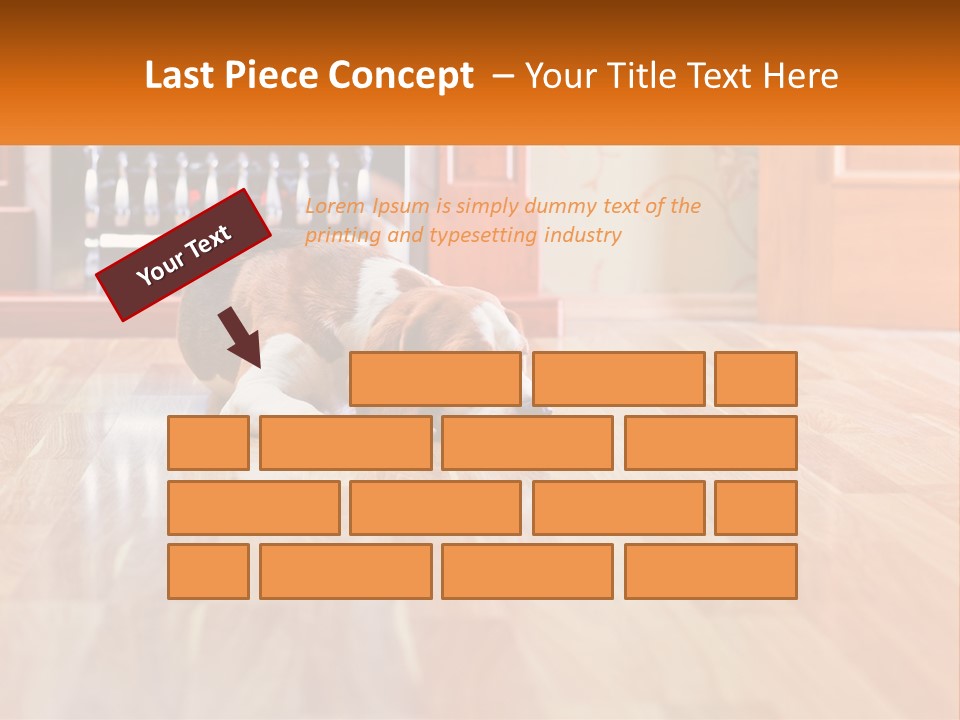 A Brown And White Dog Laying On Top Of A Hard Wood Floor PowerPoint Template