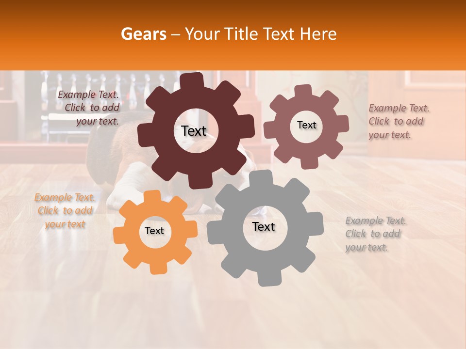 A Brown And White Dog Laying On Top Of A Hard Wood Floor PowerPoint Template