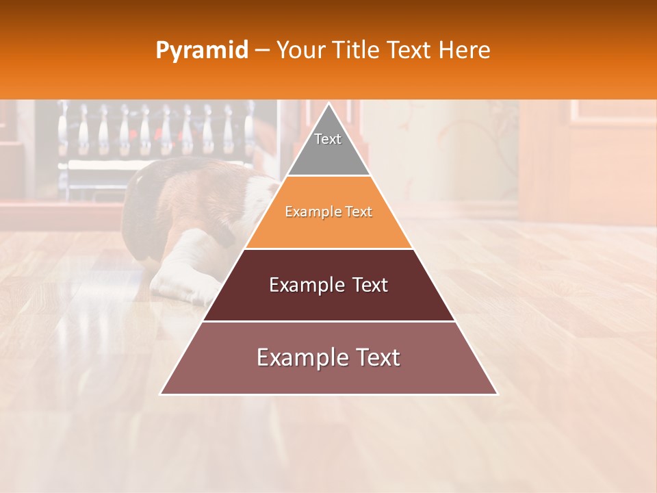 A Brown And White Dog Laying On Top Of A Hard Wood Floor PowerPoint Template