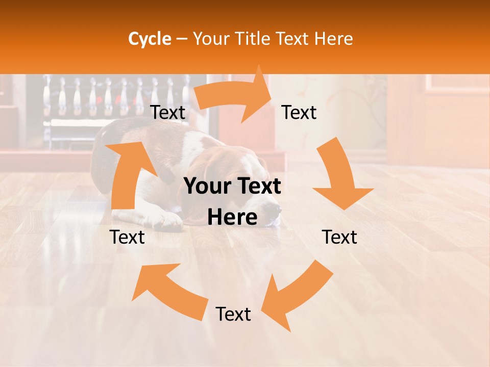 A Brown And White Dog Laying On Top Of A Hard Wood Floor PowerPoint Template