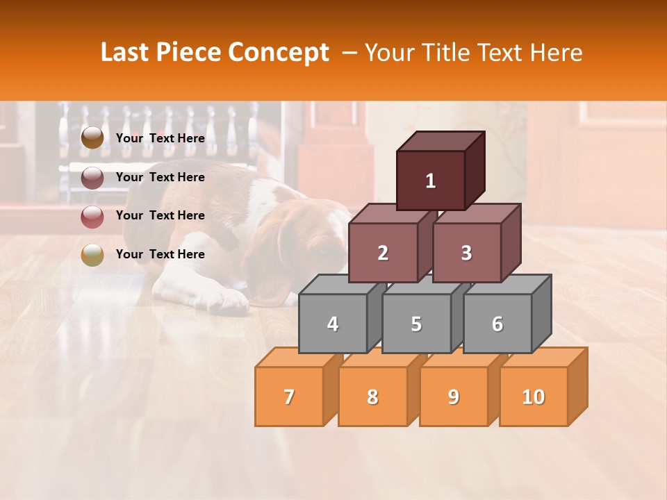 A Brown And White Dog Laying On Top Of A Hard Wood Floor PowerPoint Template
