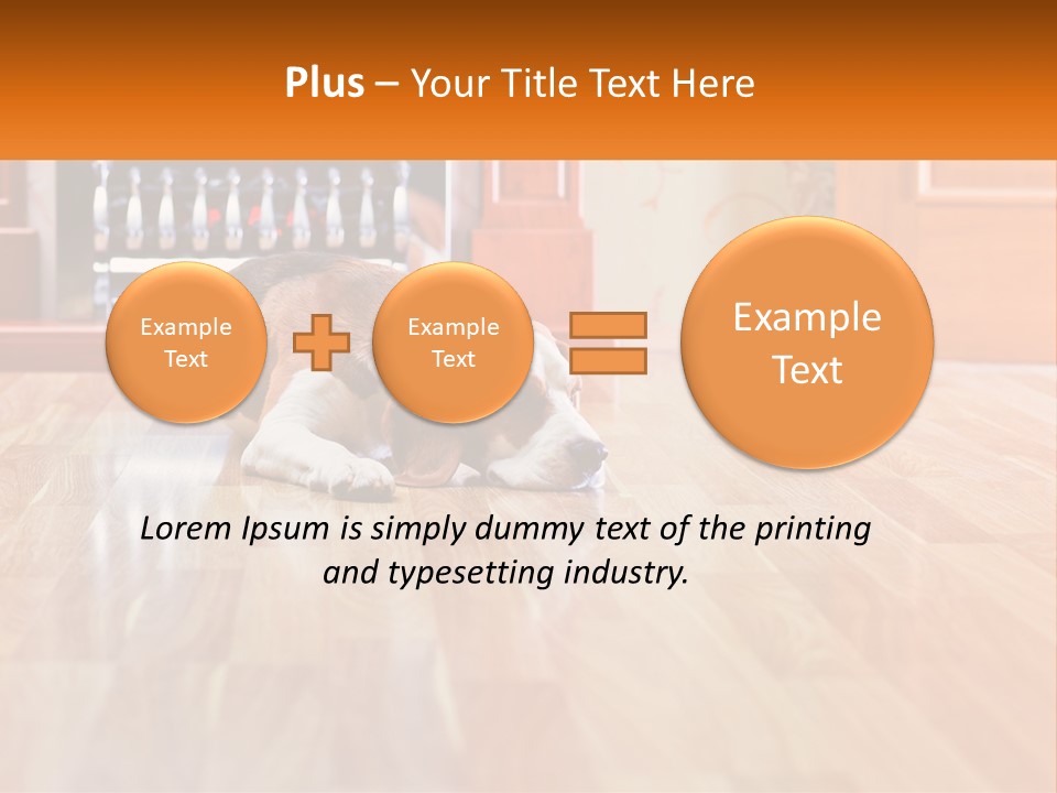 A Brown And White Dog Laying On Top Of A Hard Wood Floor PowerPoint Template