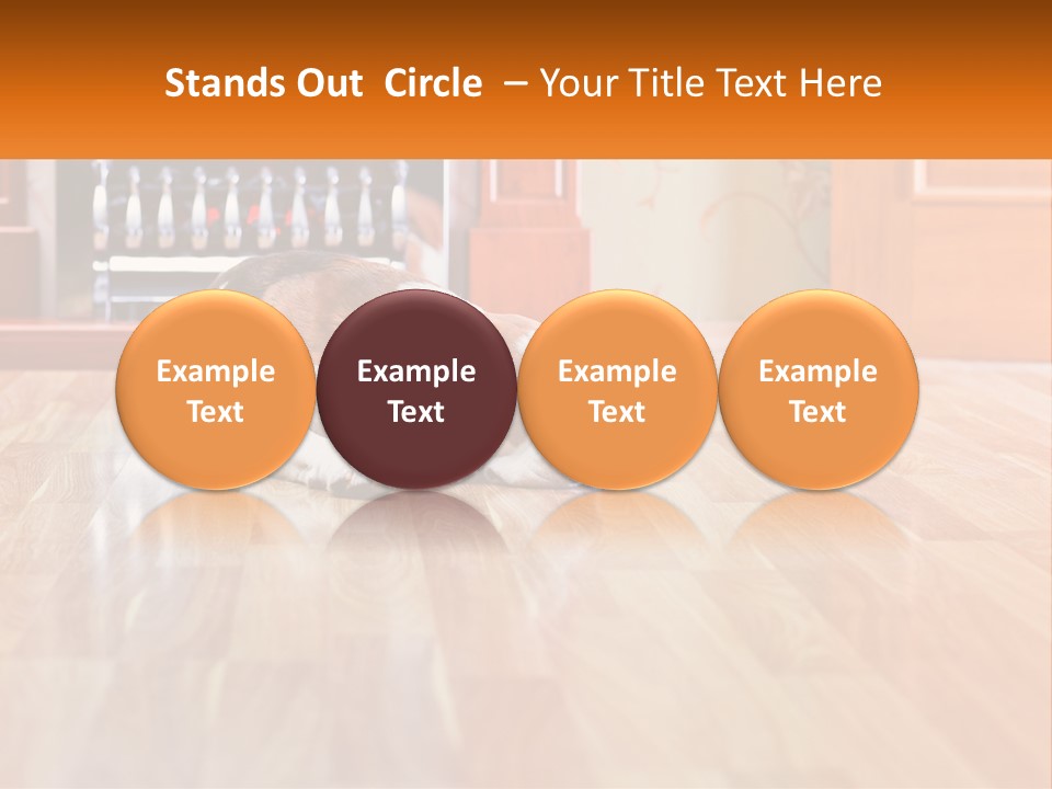 A Brown And White Dog Laying On Top Of A Hard Wood Floor PowerPoint Template