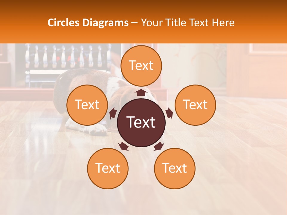 A Brown And White Dog Laying On Top Of A Hard Wood Floor PowerPoint Template