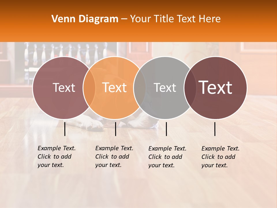 A Brown And White Dog Laying On Top Of A Hard Wood Floor PowerPoint Template