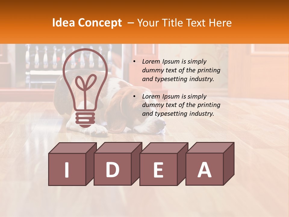 A Brown And White Dog Laying On Top Of A Hard Wood Floor PowerPoint Template
