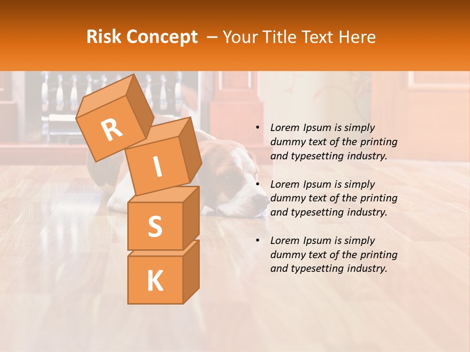 A Brown And White Dog Laying On Top Of A Hard Wood Floor PowerPoint Template