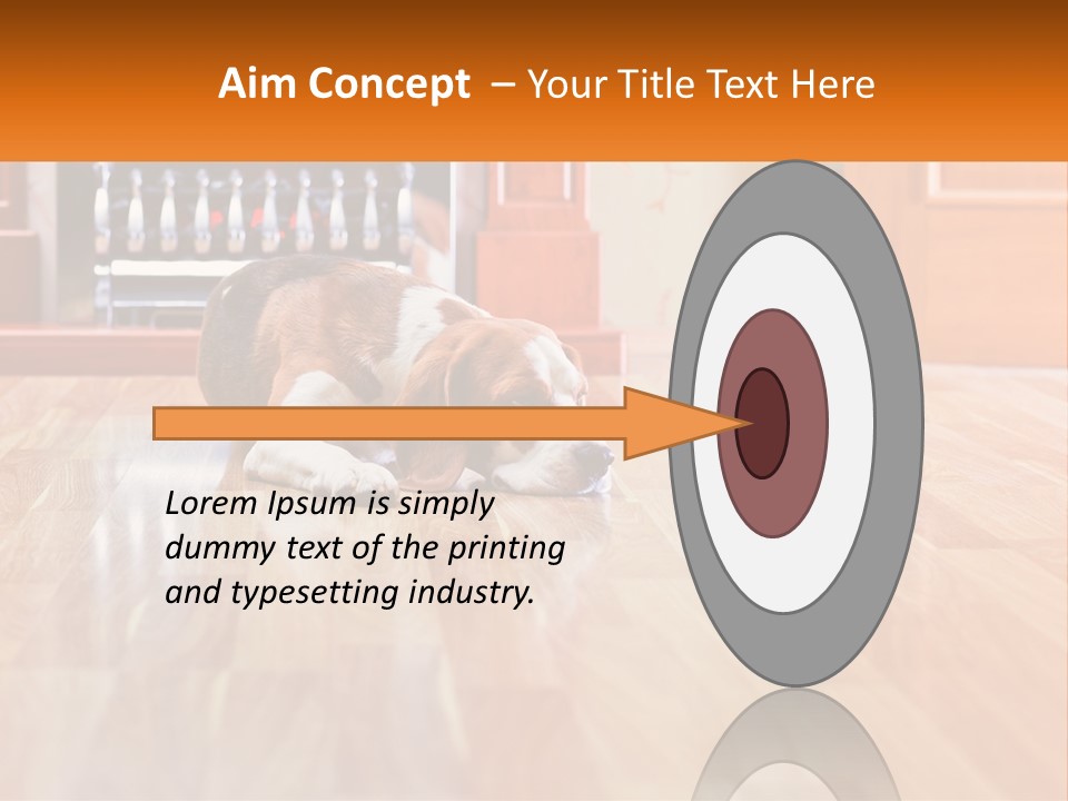 A Brown And White Dog Laying On Top Of A Hard Wood Floor PowerPoint Template