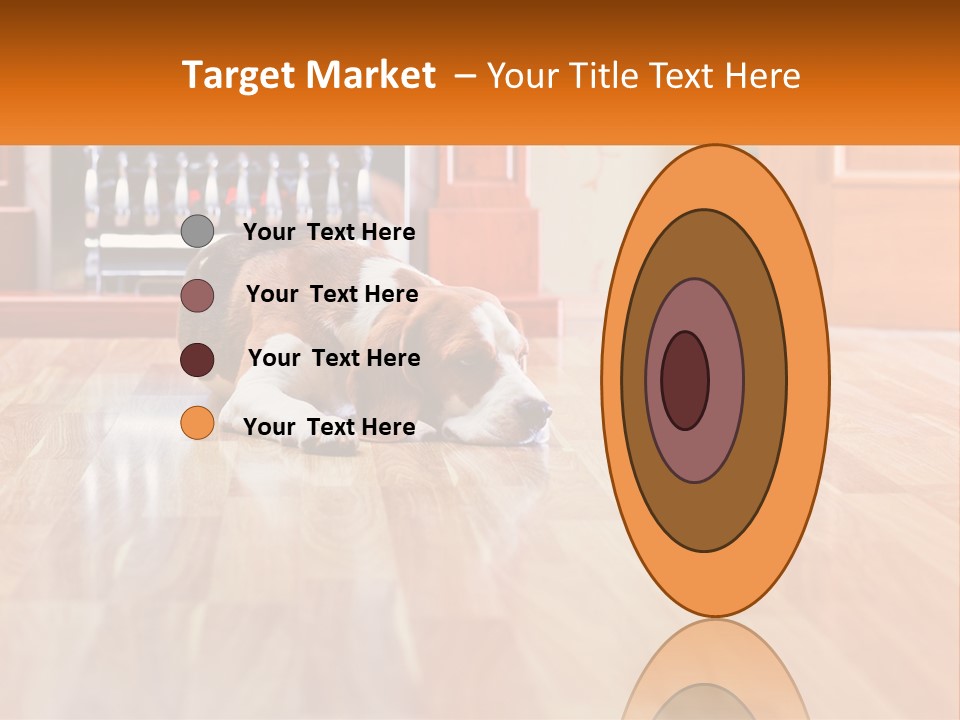 A Brown And White Dog Laying On Top Of A Hard Wood Floor PowerPoint Template
