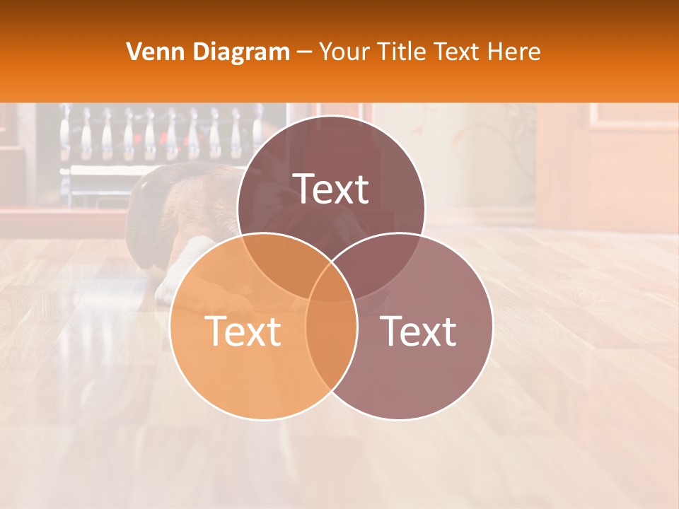 A Brown And White Dog Laying On Top Of A Hard Wood Floor PowerPoint Template