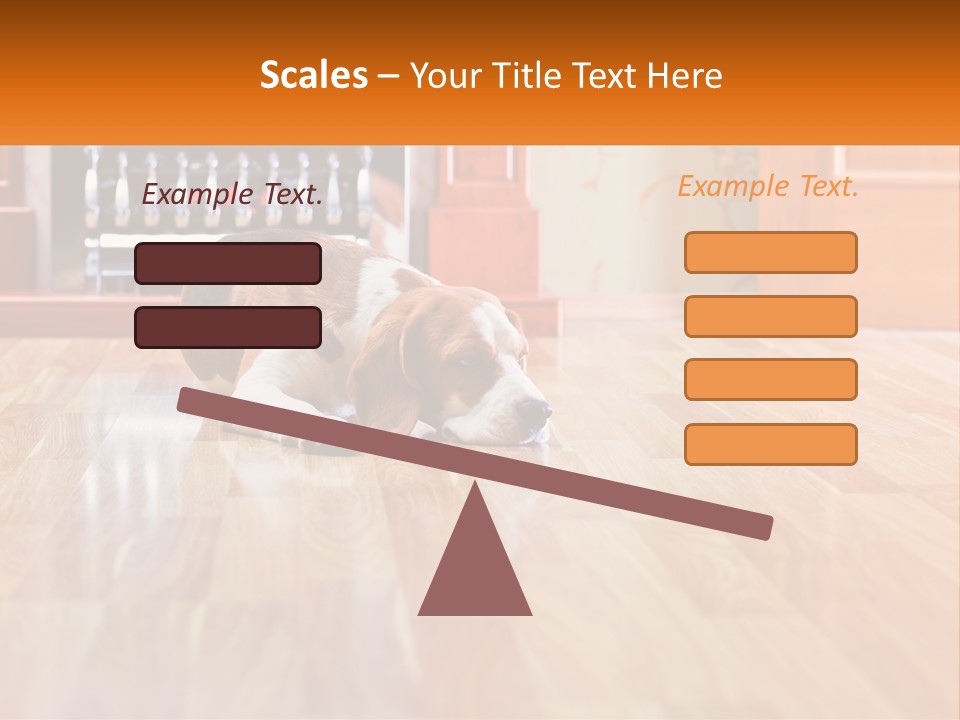 A Brown And White Dog Laying On Top Of A Hard Wood Floor PowerPoint Template