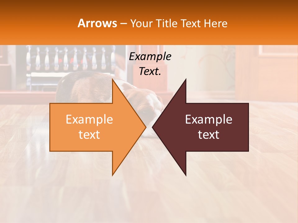 A Brown And White Dog Laying On Top Of A Hard Wood Floor PowerPoint Template