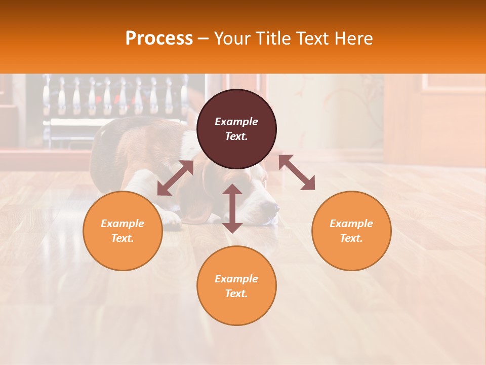 A Brown And White Dog Laying On Top Of A Hard Wood Floor PowerPoint Template