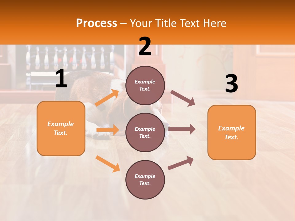 A Brown And White Dog Laying On Top Of A Hard Wood Floor PowerPoint Template