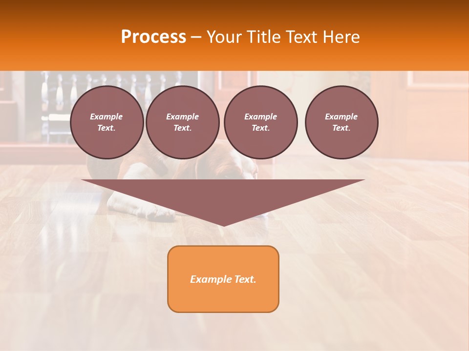 A Brown And White Dog Laying On Top Of A Hard Wood Floor PowerPoint Template