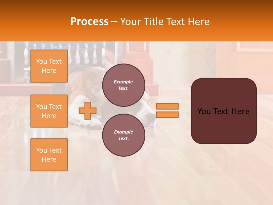 A Brown And White Dog Laying On Top Of A Hard Wood Floor PowerPoint Template